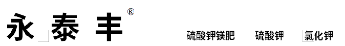 k8(й)ҳ¼